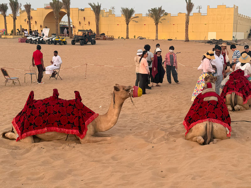 非凡杜拜、阿布達比7日~沙漠衝沙、阿布達比五星酒店
