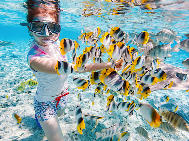 清澈海底的浮潛天堂