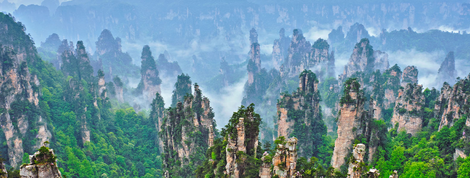 大塊假我以文章