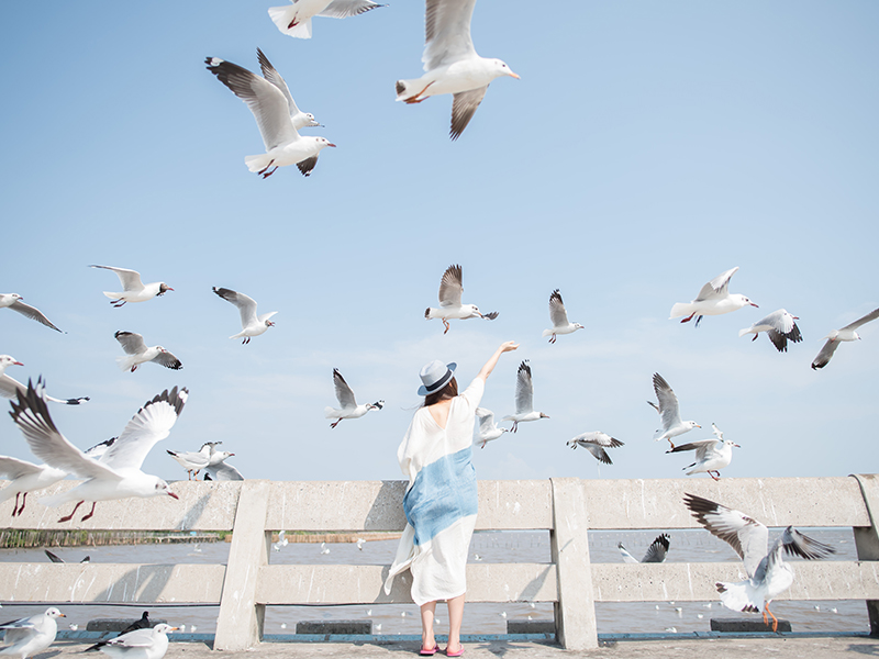 仲夏樂東海澎湖三日
