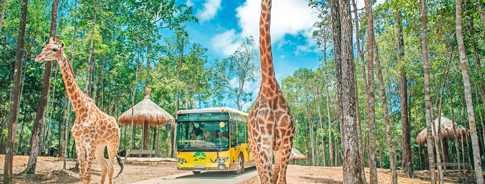 沉浸在法式風情