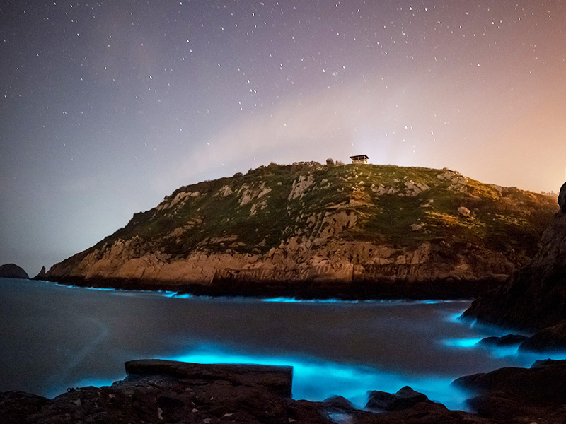 上帝遺落的藍色精靈