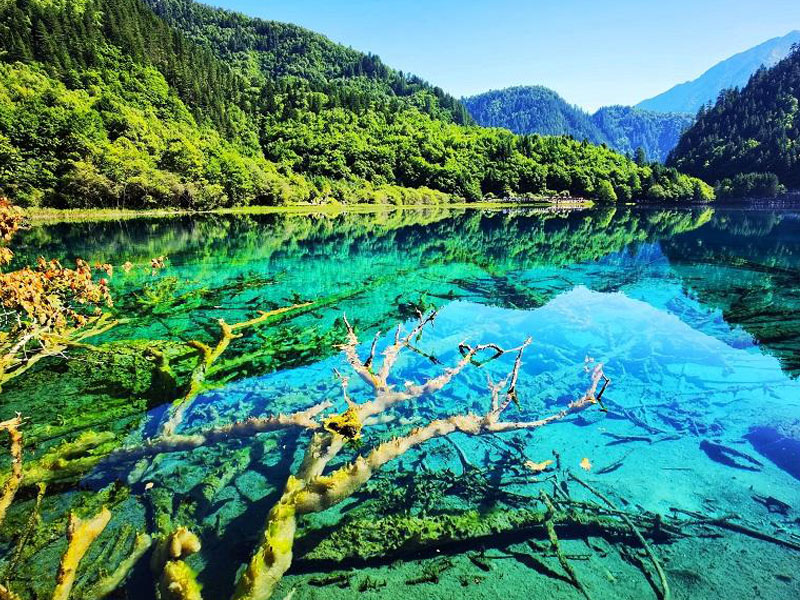 人間最美仙境~九寨溝雙秀八日-自由行