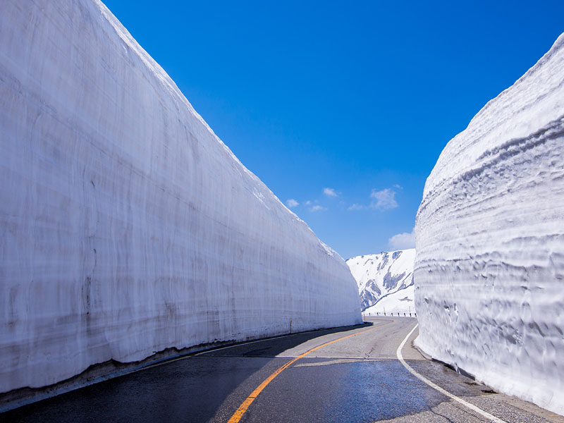 名古屋立山黑部雪牆x上高地秘境x名花點燈嘉年華五日