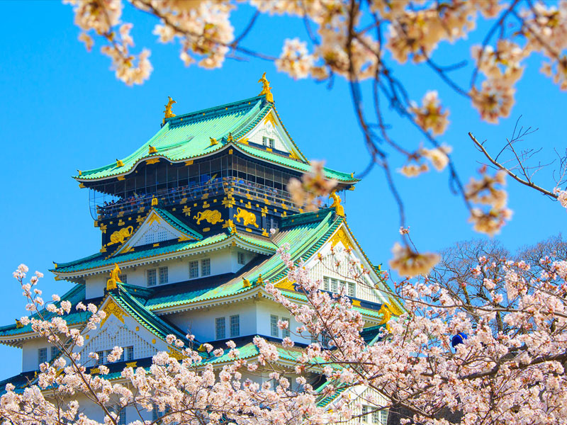 花現大阪櫻紀行．賞櫻首選５日～關西五都、和服體驗、櫻花隧道、和歌山超人氣電鐵+現採草莓吃到飽+螃蟹吃到飽、豪華溫泉饗宴