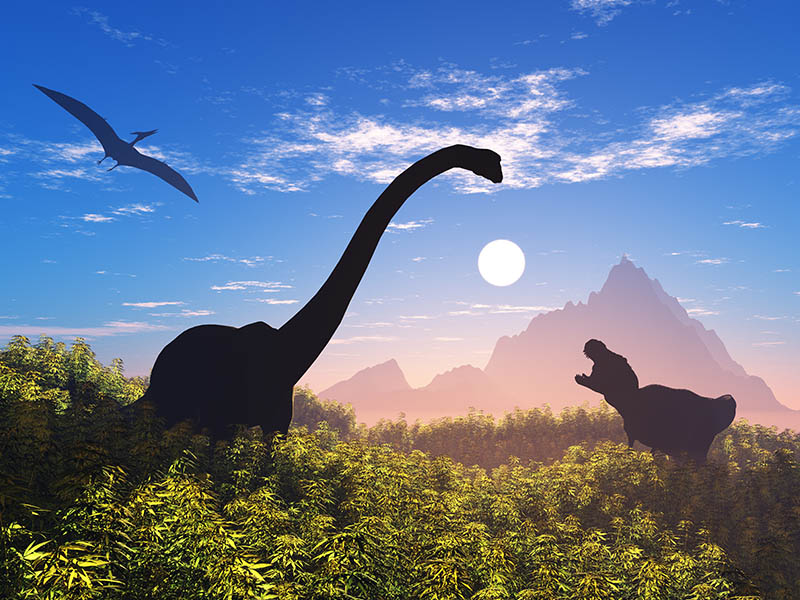 浪漫海景沖繩好好玩5日~恐龍公園、鹽場冰淇淋、海洋博水族館