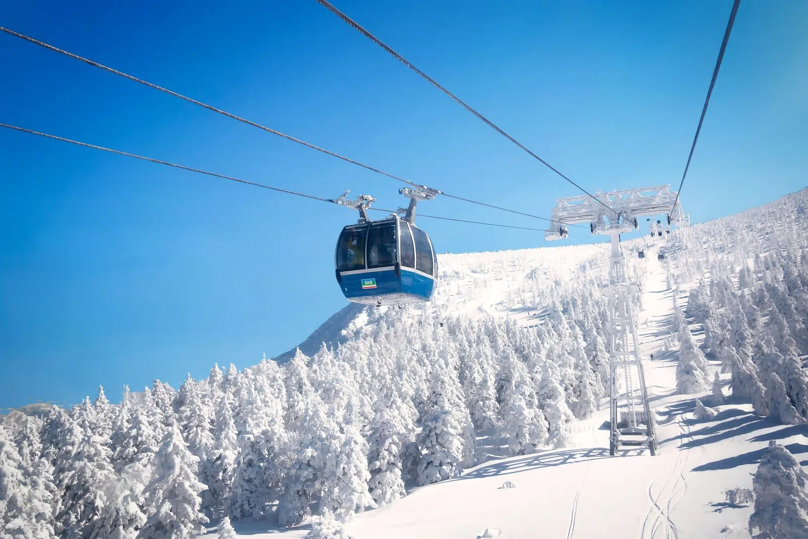 東北藏王樹冰+藏王狐狸村兩晚溫泉美食五日