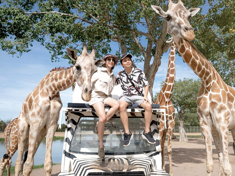 泰好玩野生大城5日遊