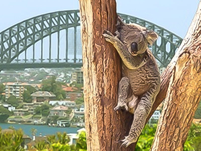 同遊澳洲全覽三城９日～歌劇院、雪梨塔、神仙企鵝、擁抱無尾熊(長榮航空)