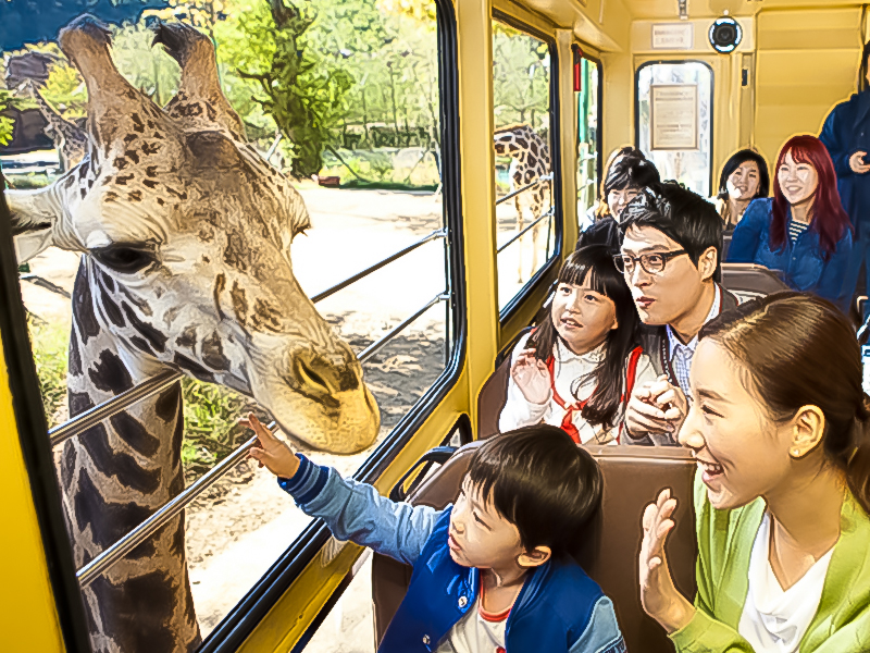 精彩首爾雙樂園5日~樂高樂園、三嶽山纜車、塗鴉秀、愛寶樂園+野生動物園